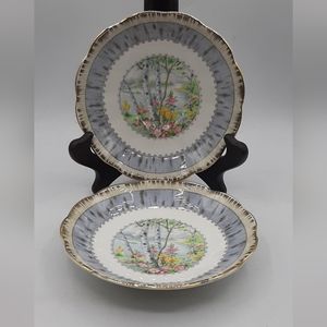 Royal Albert Bone China Set of 2 Silver Birch Saucer Plate  5.5" Made In England
